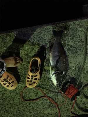 壱岐島釣行2日目