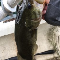 8月25日の榛名湖バス釣り!