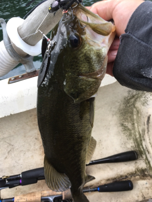 8月25日の榛名湖バス釣り!