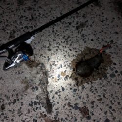 エギングちょい遠征