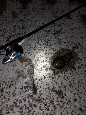 エギングちょい遠征