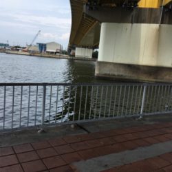 オクトパッシング