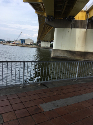 オクトパッシング