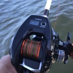 潮の早い場所と大潮の組み合わせ