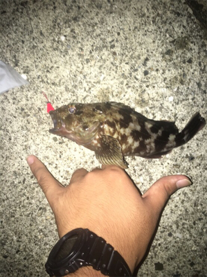 ショアジギング！