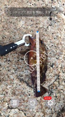 根魚は根魚でも！？