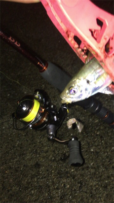 豆渋～基本のボトム