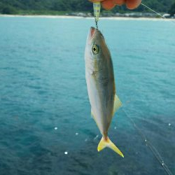 ライトショアジギング