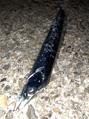 下手な太刀狩り