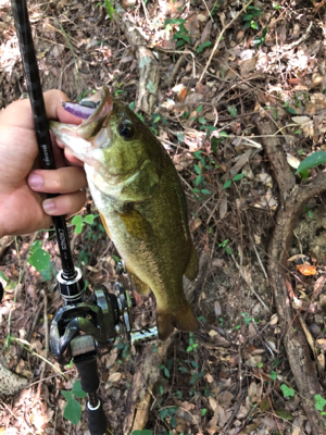 淡路島でバス釣り！！