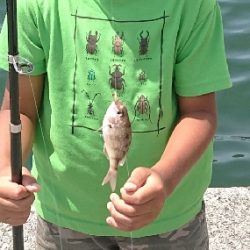 食品コンビナートで餌釣り