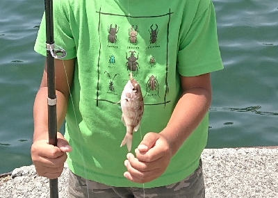 食品コンビナートで餌釣り