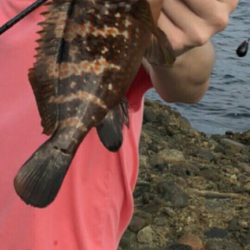 2日間のライトロック三昧