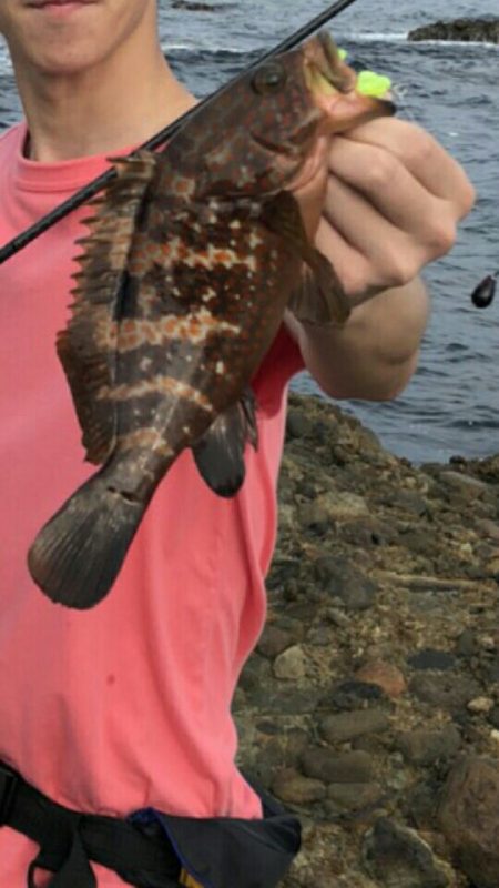 2日間のライトロック三昧