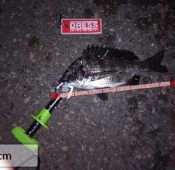 久し振りの尼崎閘門前