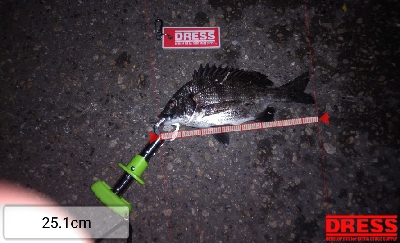 久し振りの尼崎閘門前