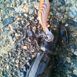 スモールオータム