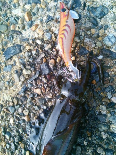 スモールオータム