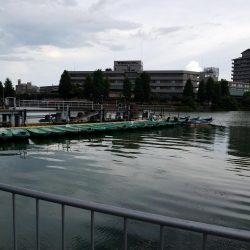 今日は琵琶湖へ