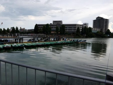 今日は琵琶湖へ