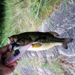 ダッジでゲット