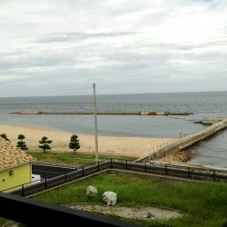 キス3　チャリコ5　ネズミゴチ1