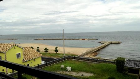 キス3　チャリコ5　ネズミゴチ1