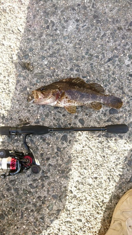 ロックフィッシュ