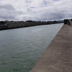 ライトショアジギング(芳養漁港周辺への釣行)