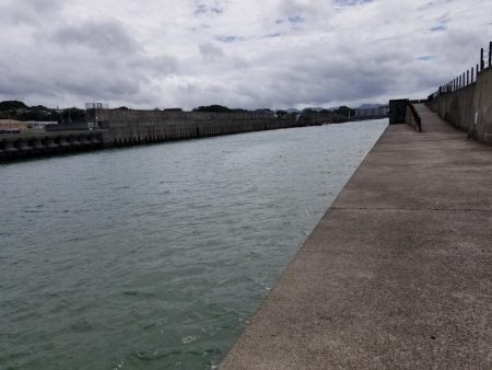 ライトショアジギング(芳養漁港周辺への釣行)