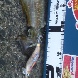 たくさん食べて 大きくな~れ!