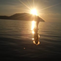 場所か腕か・・・