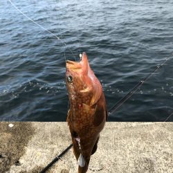 直江津ハッピーにて