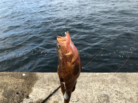 直江津ハッピーにて