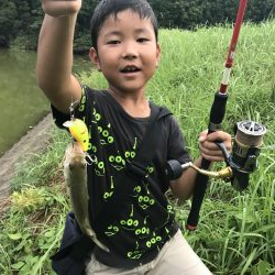 野池でバスつり