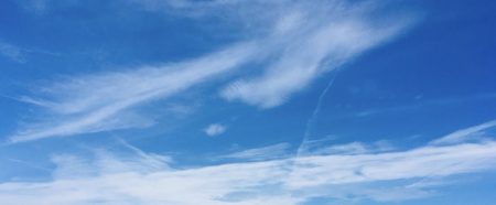 久しぶりのタコ