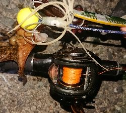 NEWリールに墨付け!