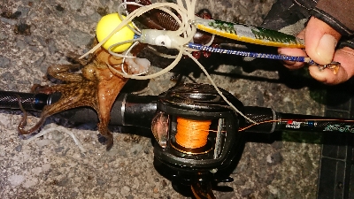 NEWリールに墨付け！