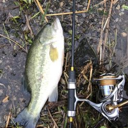 久しぶりの河口湖を満喫!!