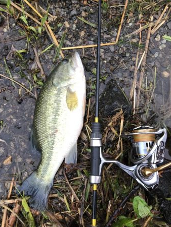 久しぶりの河口湖を満喫!!