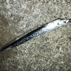 サバゲーおもろ。