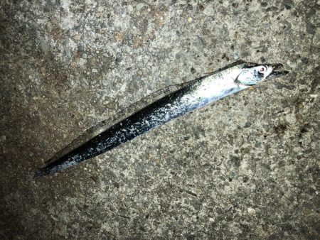 サバゲーおもろ。