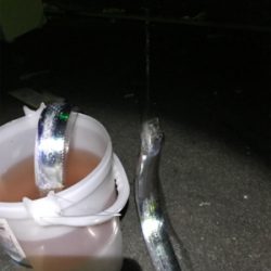 太刀魚のウキ釣り