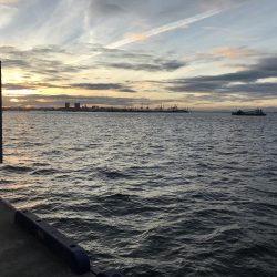 今日は、厳しい。