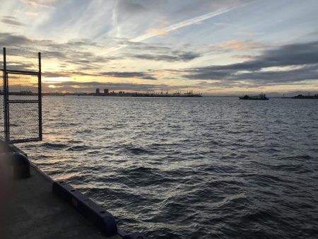 今日は、厳しい。