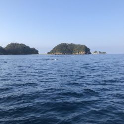 海漁丸〜牟岐大島周辺〜