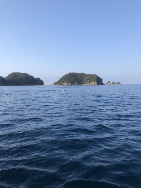 海漁丸〜牟岐大島周辺〜