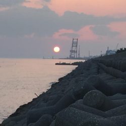 今日も、取ったぞ！②