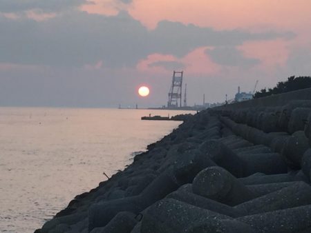 今日も、取ったぞ！②