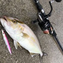 やっと本命をゲット！